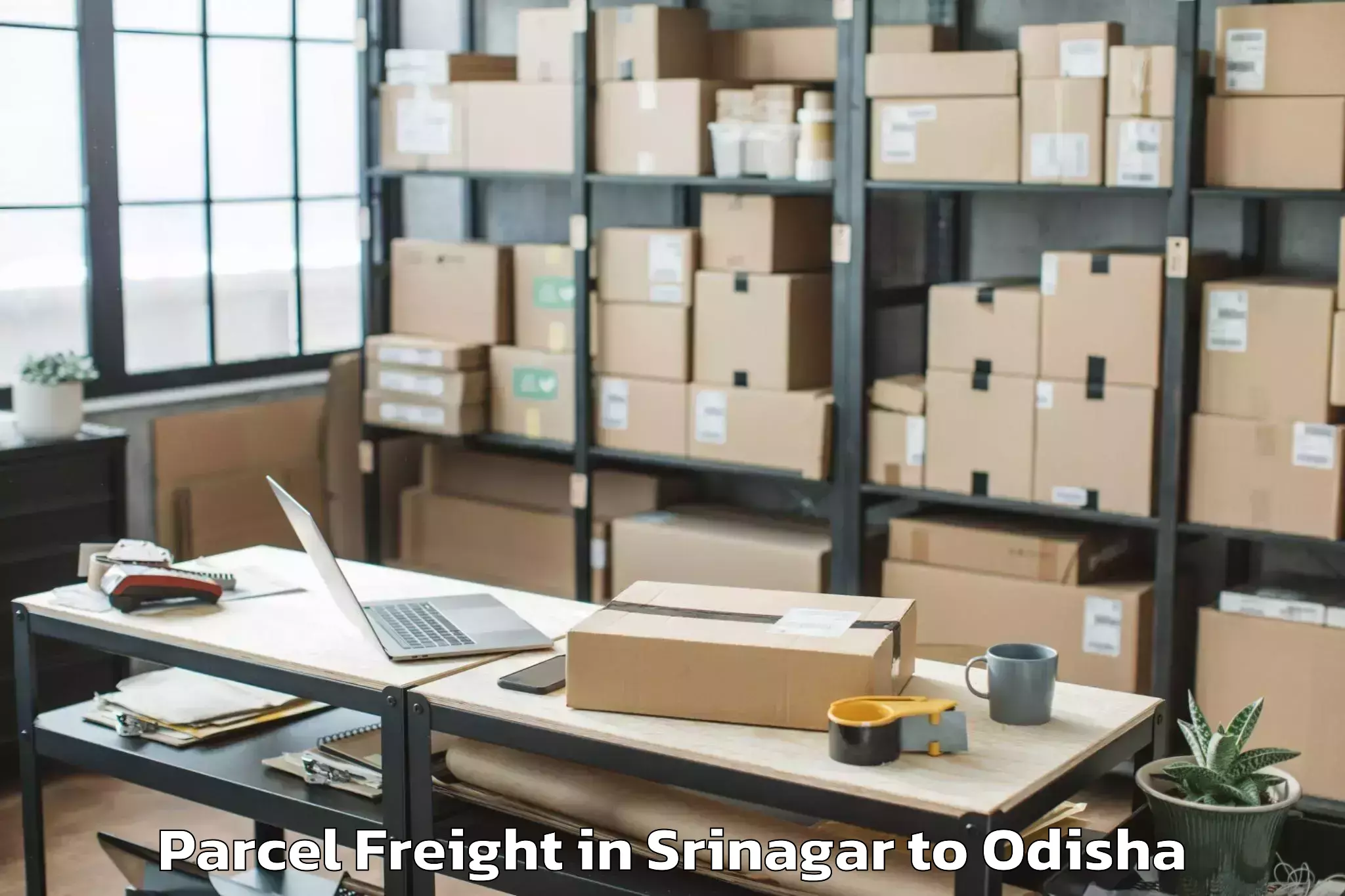 Efficient Srinagar to Bahalda Parcel Freight